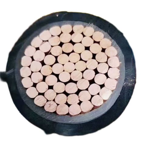 尊龙人生就是博·Z6「中国区」首页官网