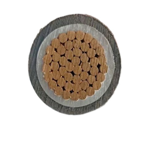 尊龙人生就是博·Z6「中国区」首页官网