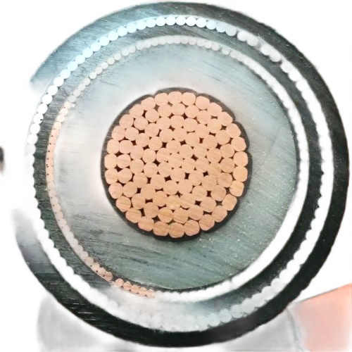 尊龙人生就是博·Z6「中国区」首页官网