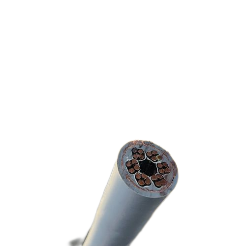 尊龙人生就是博·Z6「中国区」首页官网