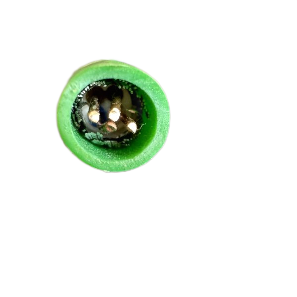 尊龙人生就是博·Z6「中国区」首页官网