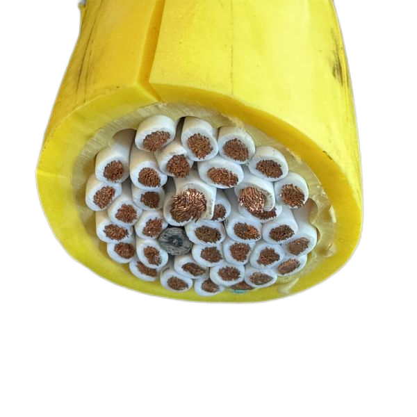 尊龙人生就是博·Z6「中国区」首页官网