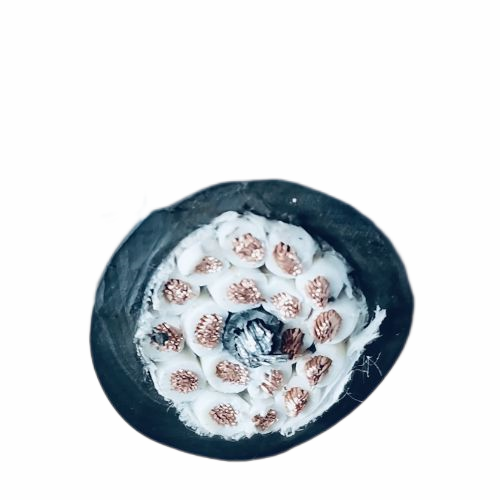 尊龙人生就是博·Z6「中国区」首页官网