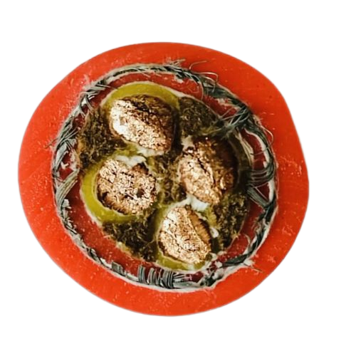 尊龙人生就是博·Z6「中国区」首页官网