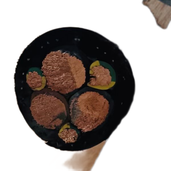 尊龙人生就是博·Z6「中国区」首页官网