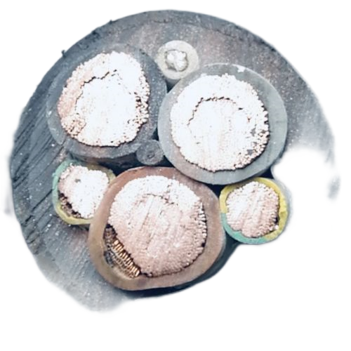 尊龙人生就是博·Z6「中国区」首页官网