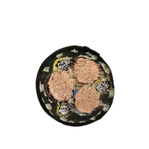 尊龙人生就是博·Z6「中国区」首页官网