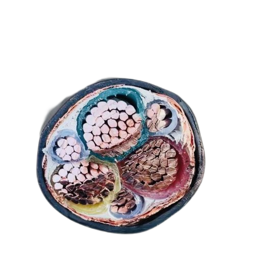 尊龙人生就是博·Z6「中国区」首页官网