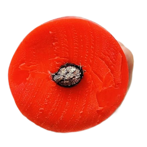 尊龙人生就是博·Z6「中国区」首页官网