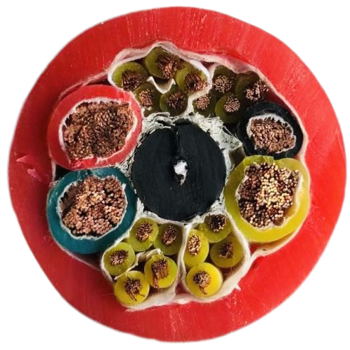 尊龙人生就是博·Z6「中国区」首页官网