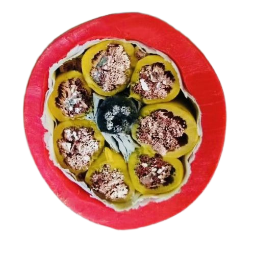 尊龙人生就是博·Z6「中国区」首页官网