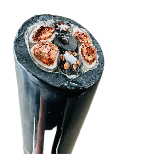 尊龙人生就是博·Z6「中国区」首页官网