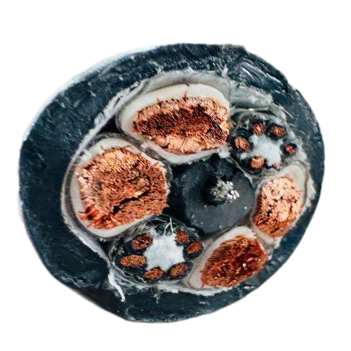 尊龙人生就是博·Z6「中国区」首页官网