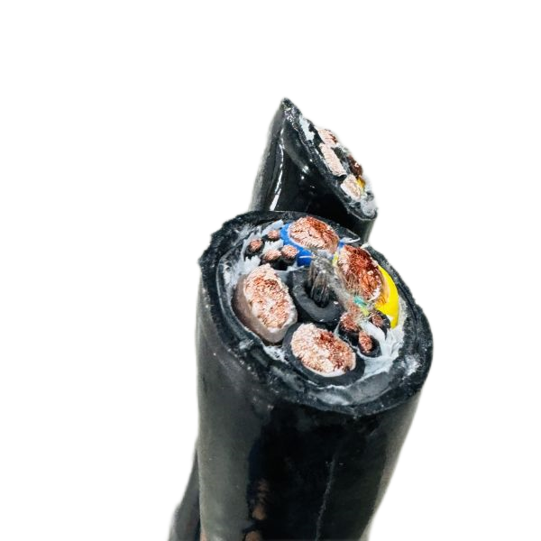 尊龙人生就是博·Z6「中国区」首页官网