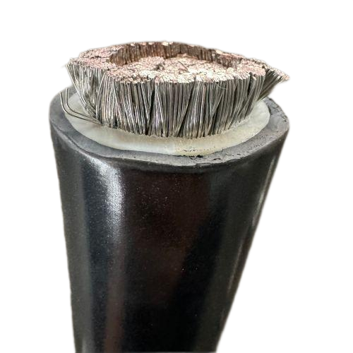 尊龙人生就是博·Z6「中国区」首页官网