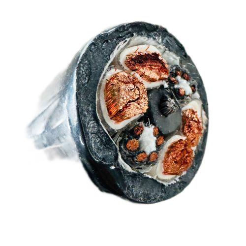 尊龙人生就是博·Z6「中国区」首页官网