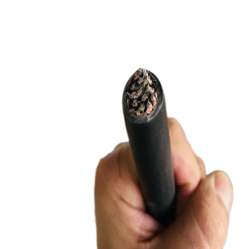 尊龙人生就是博·Z6「中国区」首页官网