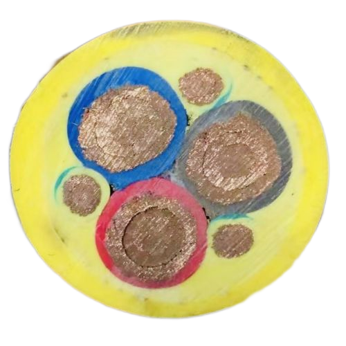 尊龙人生就是博·Z6「中国区」首页官网