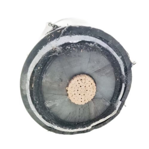 尊龙人生就是博·Z6「中国区」首页官网