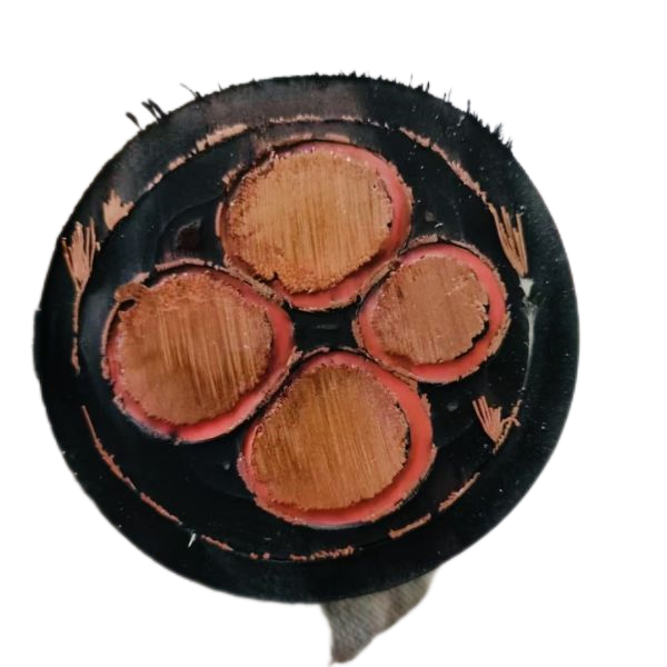 尊龙人生就是博·Z6「中国区」首页官网