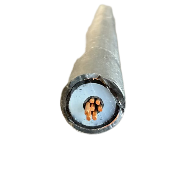 尊龙人生就是博·Z6「中国区」首页官网