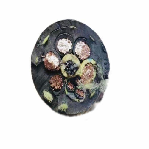 尊龙人生就是博·Z6「中国区」首页官网