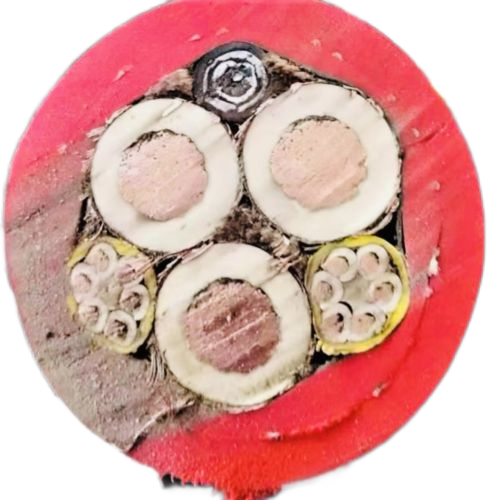 尊龙人生就是博·Z6「中国区」首页官网