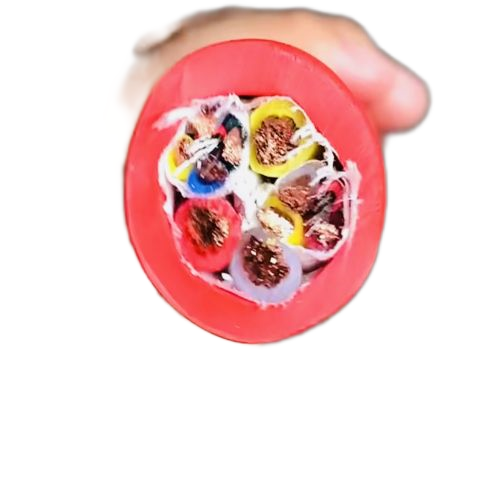 尊龙人生就是博·Z6「中国区」首页官网