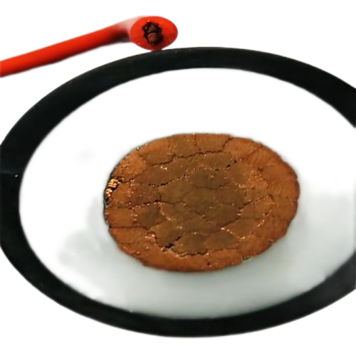 尊龙人生就是博·Z6「中国区」首页官网