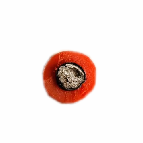 尊龙人生就是博·Z6「中国区」首页官网