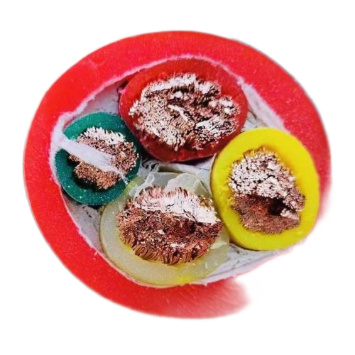 尊龙人生就是博·Z6「中国区」首页官网