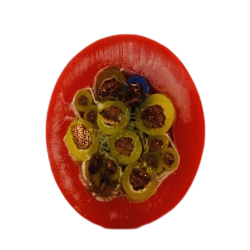 尊龙人生就是博·Z6「中国区」首页官网