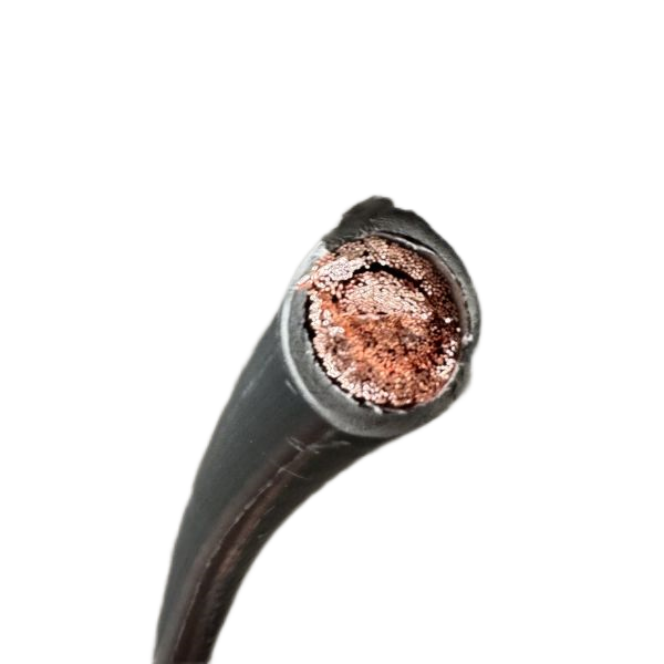 尊龙人生就是博·Z6「中国区」首页官网