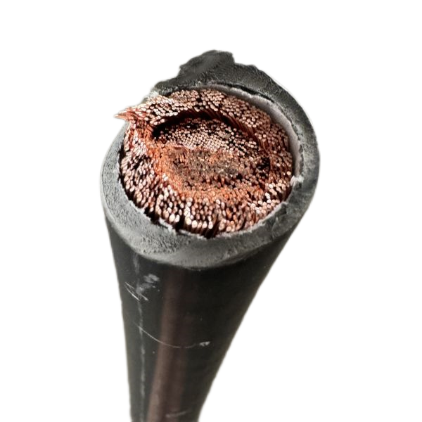 尊龙人生就是博·Z6「中国区」首页官网