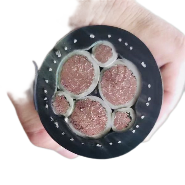 尊龙人生就是博·Z6「中国区」首页官网