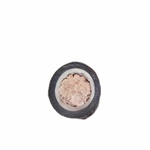 尊龙人生就是博·Z6「中国区」首页官网