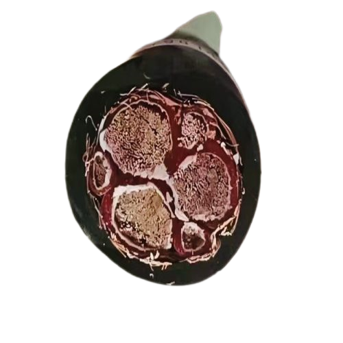 尊龙人生就是博·Z6「中国区」首页官网