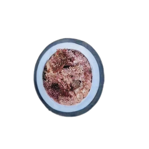 尊龙人生就是博·Z6「中国区」首页官网