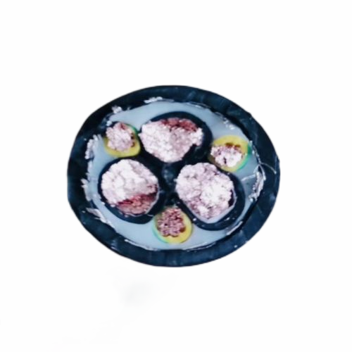 尊龙人生就是博·Z6「中国区」首页官网