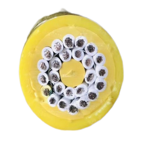 尊龙人生就是博·Z6「中国区」首页官网