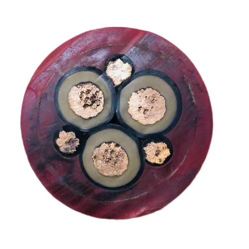 尊龙人生就是博·Z6「中国区」首页官网