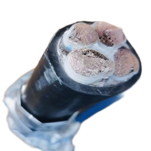 尊龙人生就是博·Z6「中国区」首页官网