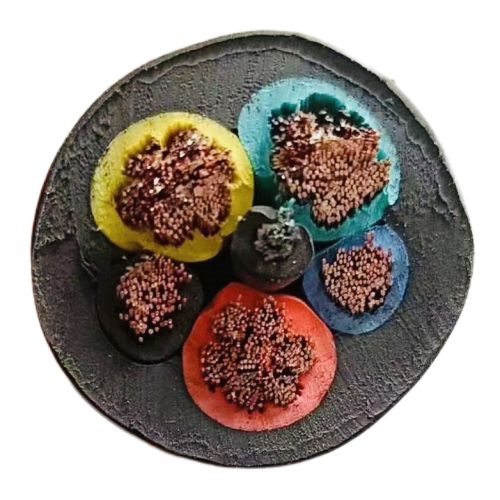 尊龙人生就是博·Z6「中国区」首页官网