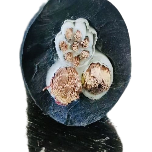 尊龙人生就是博·Z6「中国区」首页官网