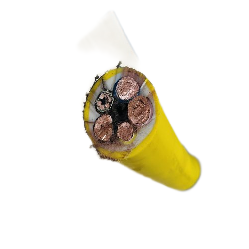 尊龙人生就是博·Z6「中国区」首页官网