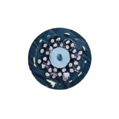 尊龙人生就是博·Z6「中国区」首页官网