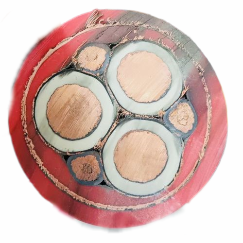 尊龙人生就是博·Z6「中国区」首页官网