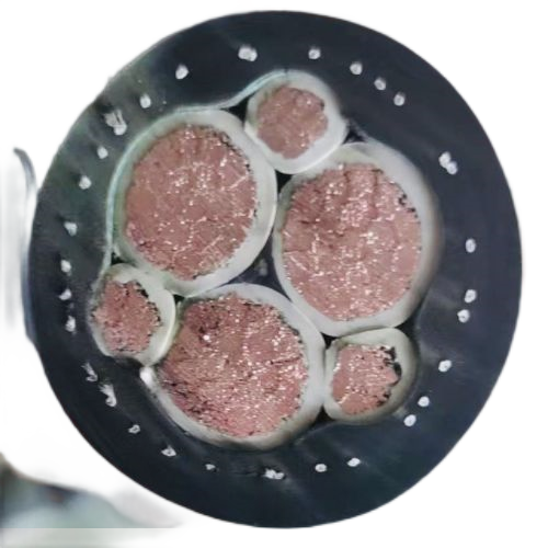 尊龙人生就是博·Z6「中国区」首页官网