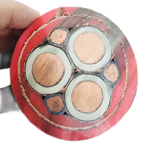 尊龙人生就是博·Z6「中国区」首页官网