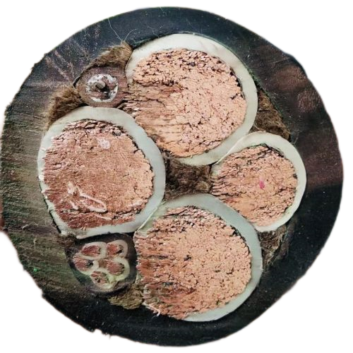 尊龙人生就是博·Z6「中国区」首页官网